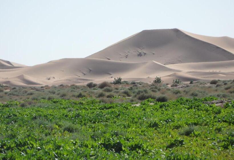 پانسیون Auberge Tigida