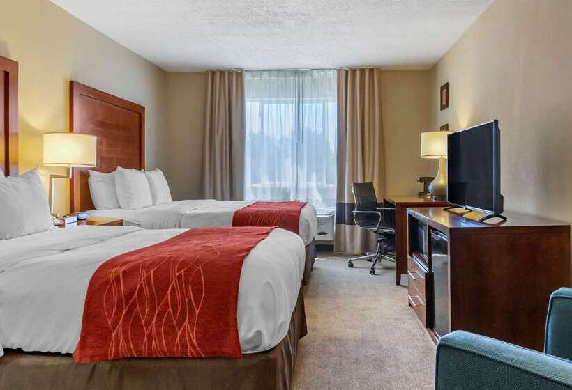 هتل Comfort Inn Albuquerque Airport