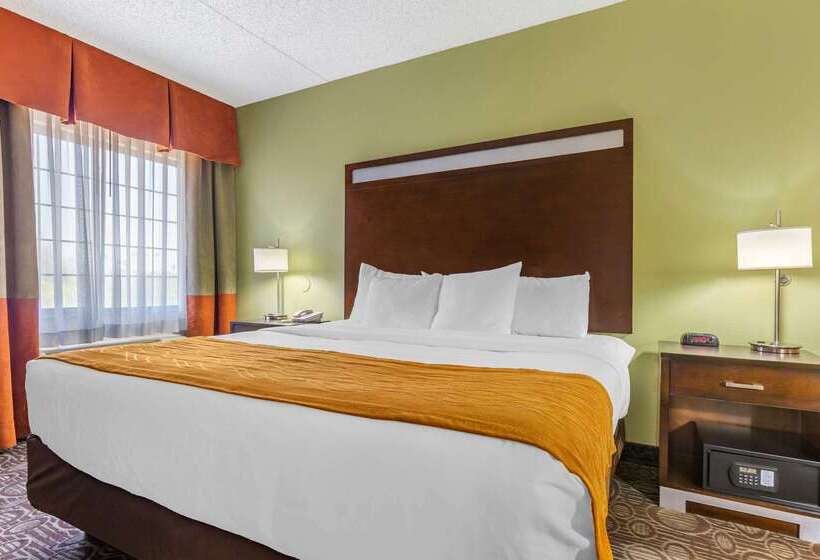 فندق Comfort Inn Chandler  Phoenix South I10