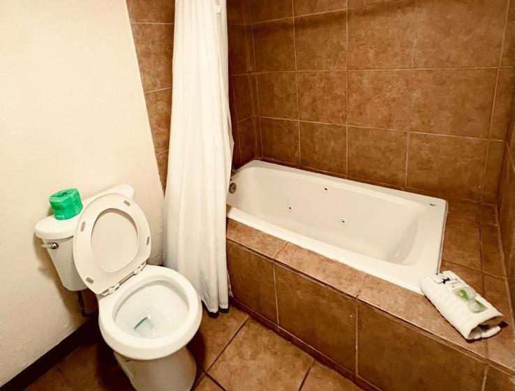 هتل Econo Lodge Inn & Suites Downtown San Antonio Riverwalk Area