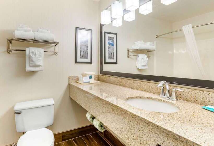 فندق Quality Inn & Suites University Fort Collins