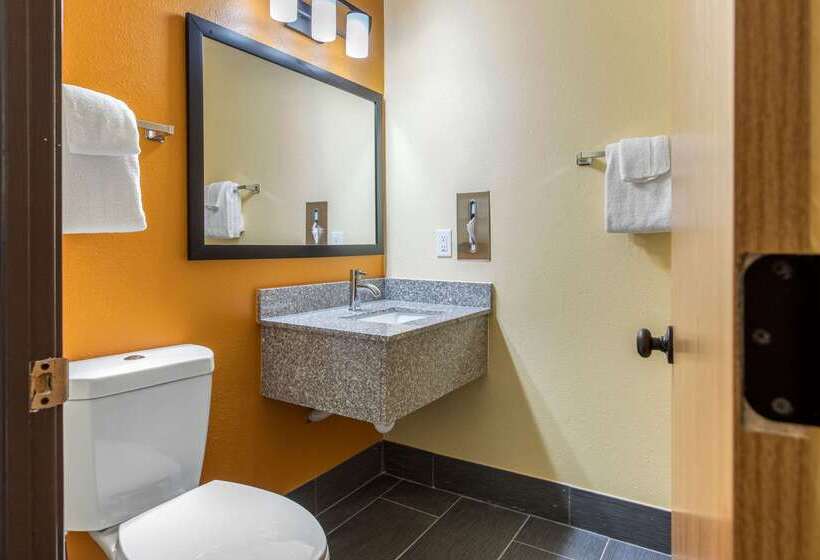 هتل Quality Inn Grand Rapids Near Downtown