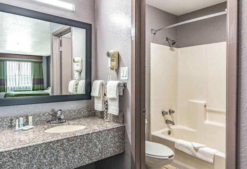 ホテル Quality Inn I 10 East Near Frost Bank Center