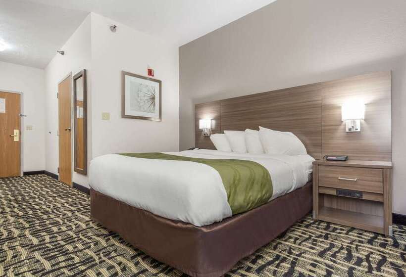 Hotel Quality Inn & Suites