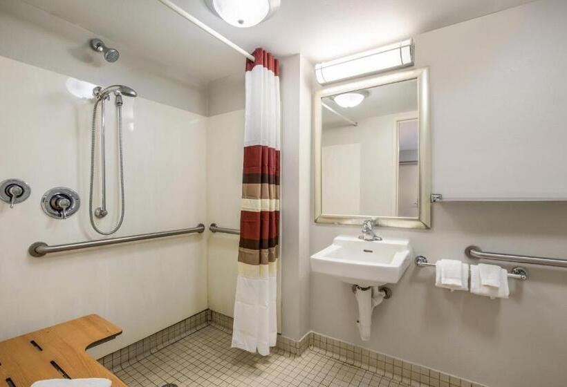 هتل Red Roof Inn Lansing West  Msu