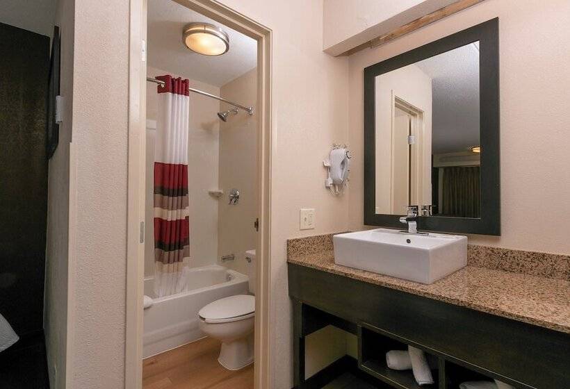 酒店 Red Roof Inn Plus+ Washington Dc   Manassas