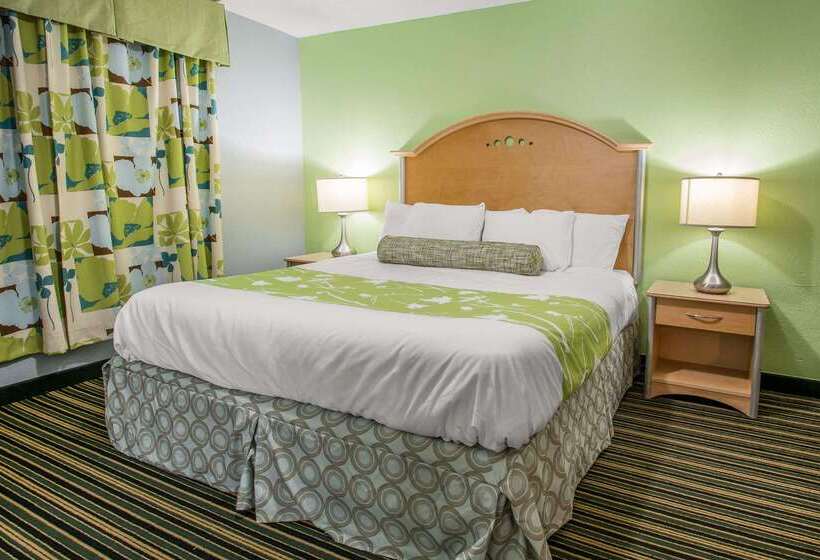 ホテル Rodeway Inn & Suites Winter Haven Chain Of Lakes