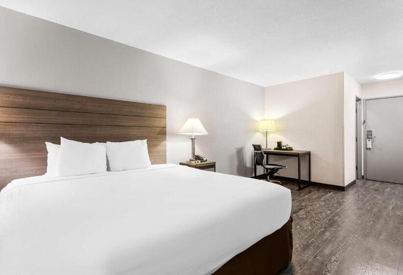 Surestay Hotel By Best Western Albuquerque Midtown