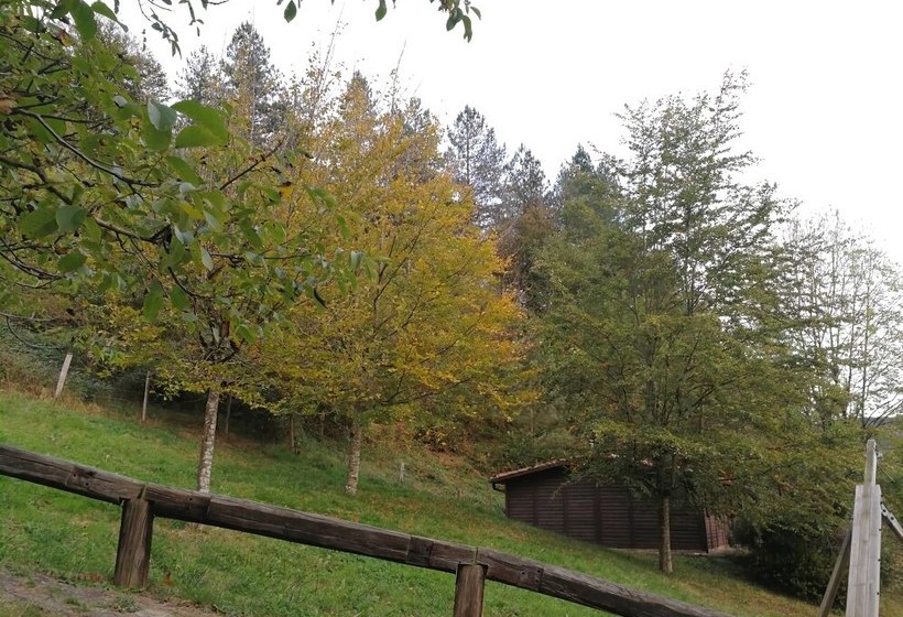 Cabañas En El Bosque  Adults Only