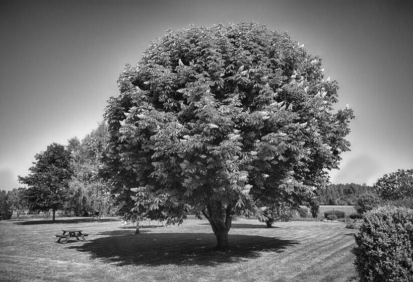 فندق Au Jardin Fleuri