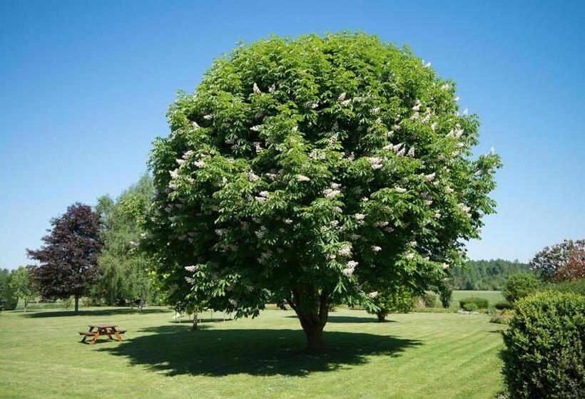 فندق Au Jardin Fleuri