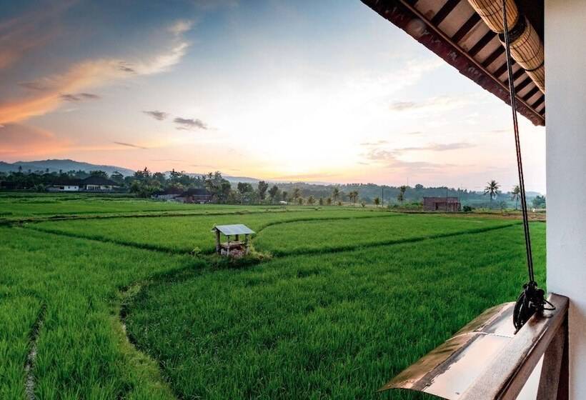 Medewi Surf Villa
