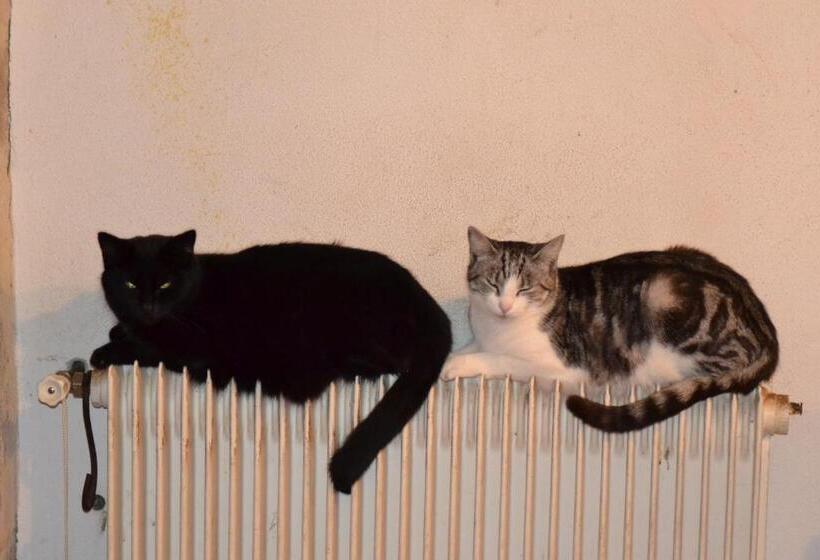 膳宿费 Domaine De Benveau