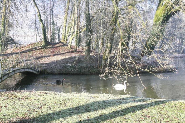 פנסיון Domaine Du Feyel