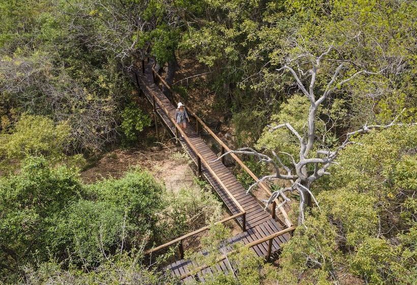 בית מלון כפרי Panzi Lodge