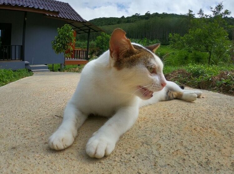 پانسیون Green Mountain Resort Koh Yao