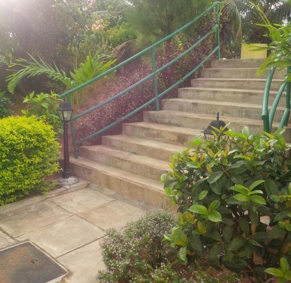 Evergreen Apartments