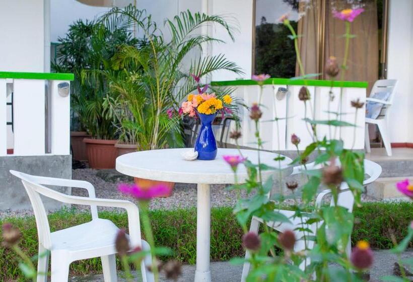 Evergreen Apartments