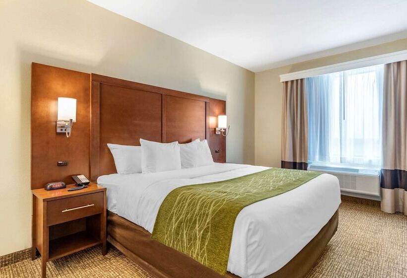 هتل Comfort Suites San Antonio Ft Sam Houston Sammc Area