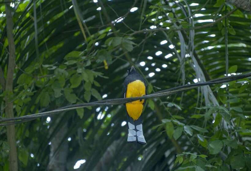 هتل Villas Cabuya Beach & Forest