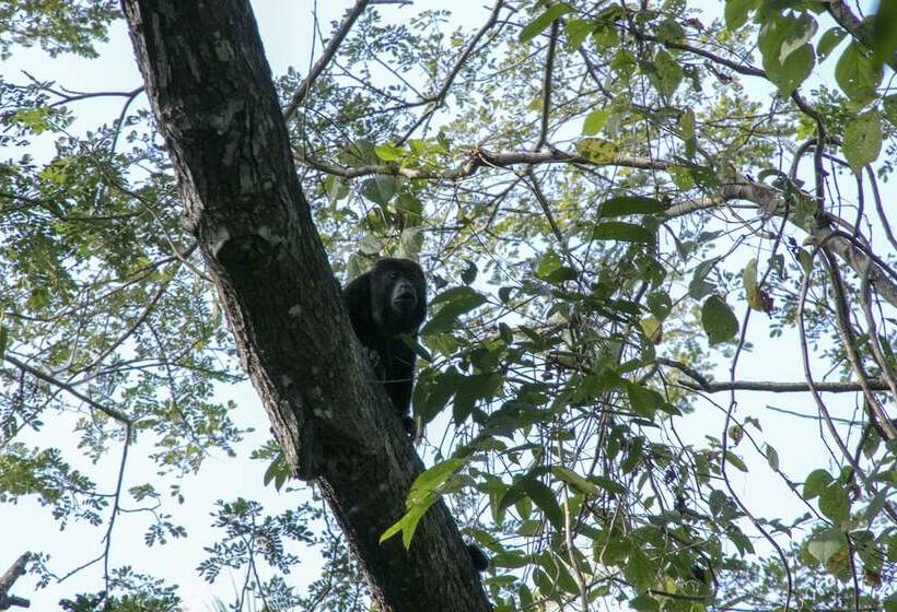هتل Villas Cabuya Beach & Forest