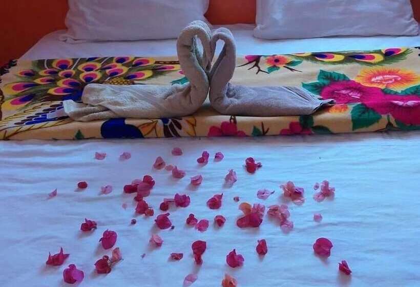 Nomad Surf House   Hostel