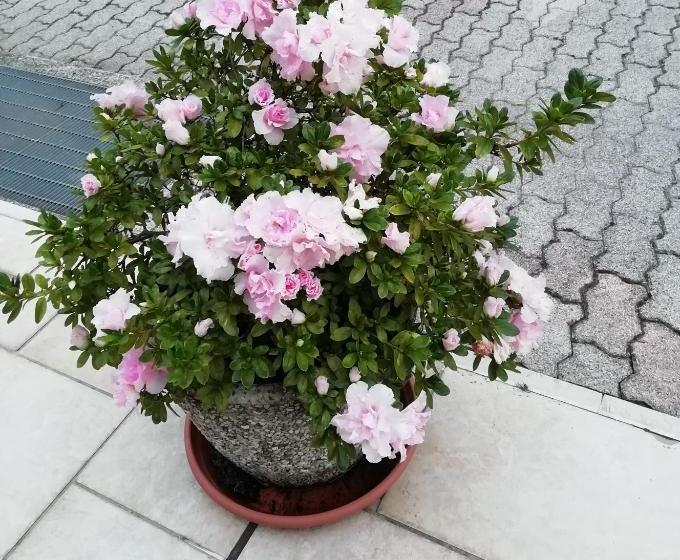 Alloggio Cristina