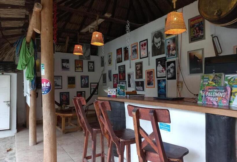 هتل El Leon Feliz Palomino