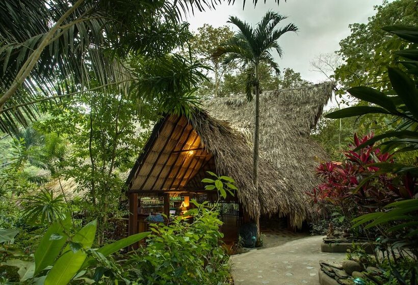 فندق Black Rock Lodge