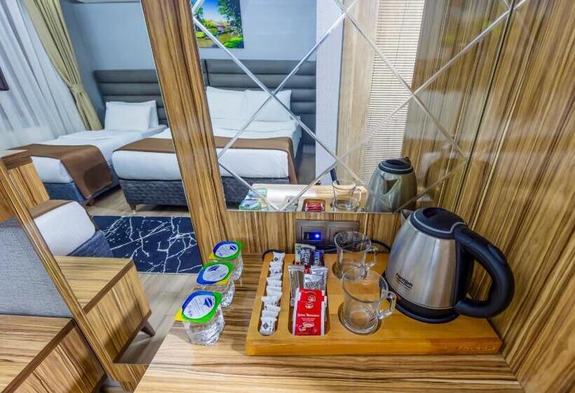 Fotos del hotel Dem Istanbul Airport:  51