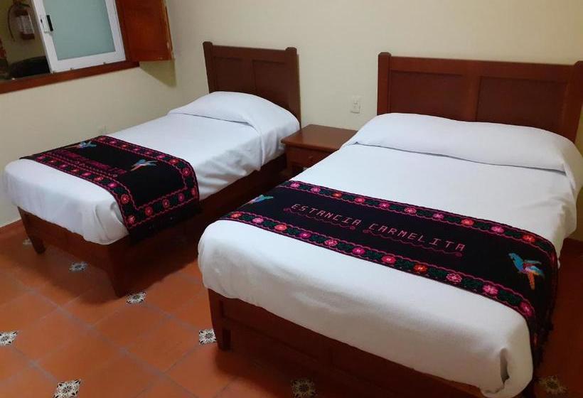 فندق Estancia Carmelita