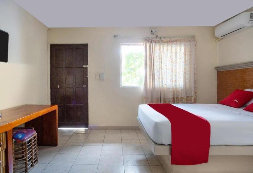 Fotos del hotel San Jorge:  3