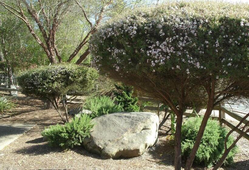 هتل Rosedale Inn