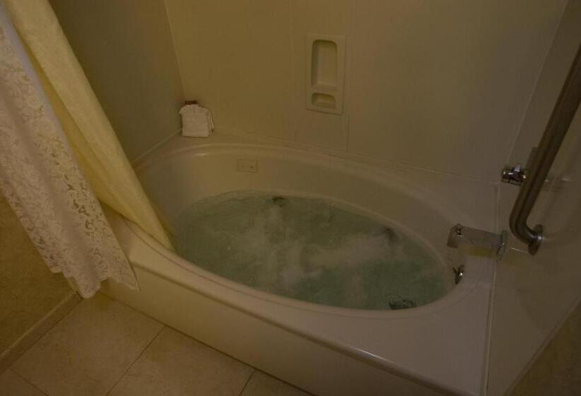 هتل Rosedale Inn