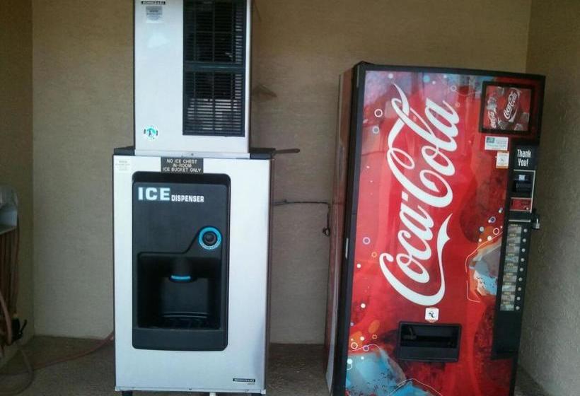 בית מלון כפרי Royal Inn Pearsall