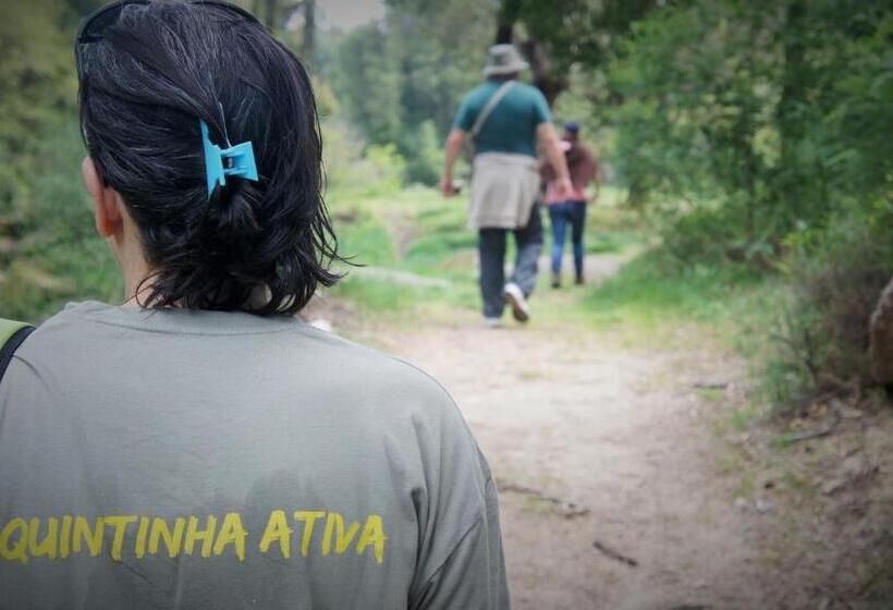 هتل Quintinha D`arga