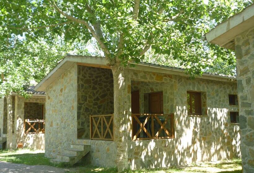 هتل Camping Pirinenc