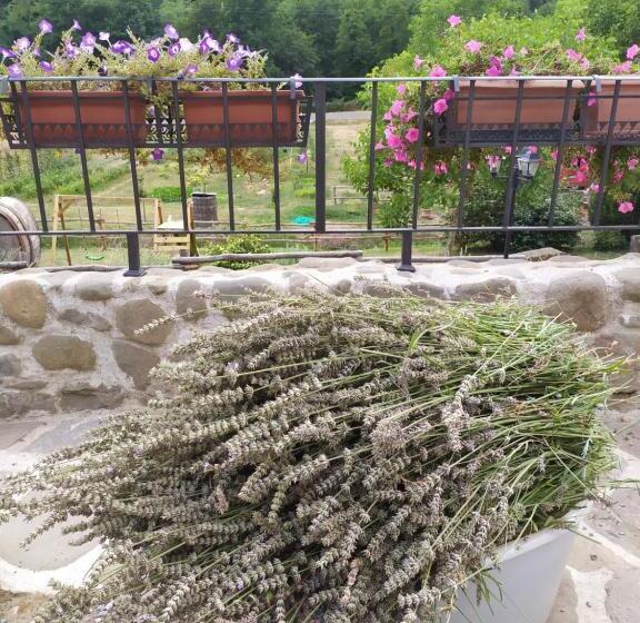 هتل Il Mulino Di Celle