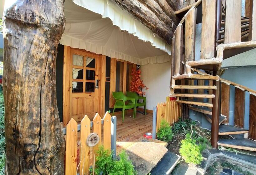 استراحتگاه Cabana Affair