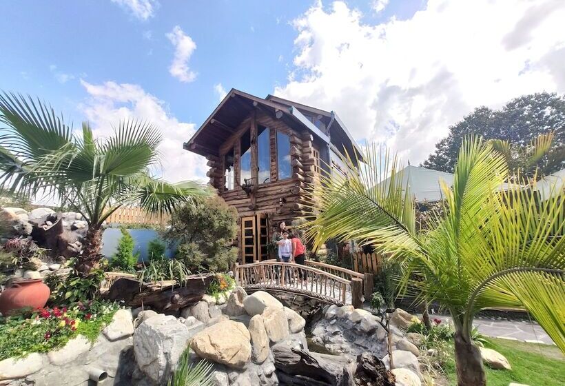 استراحتگاه Cabana Affair