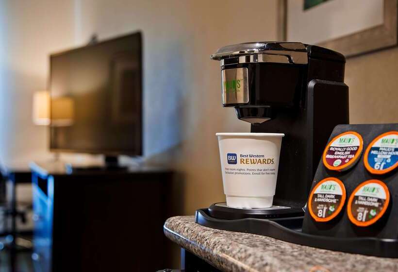 فندق Best Western Plus Chain Of Lakes Inn & Suites