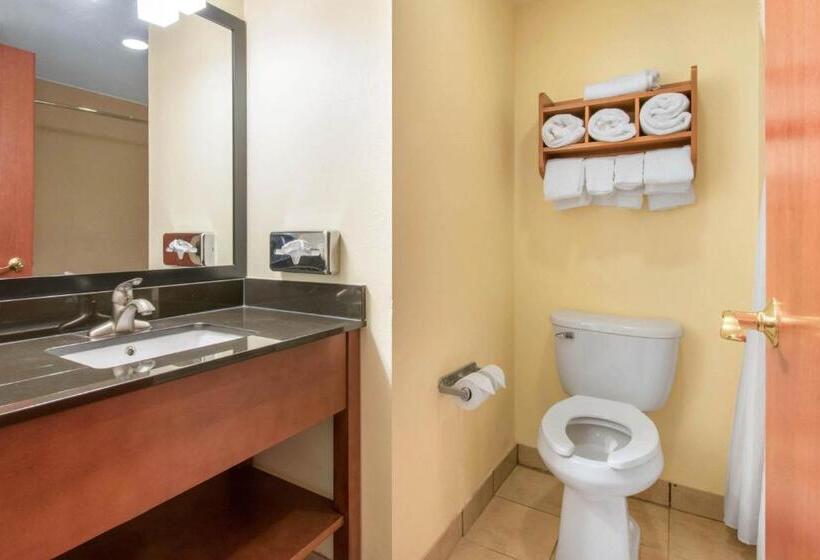Clarion Hotel & Suites University Shippensburg