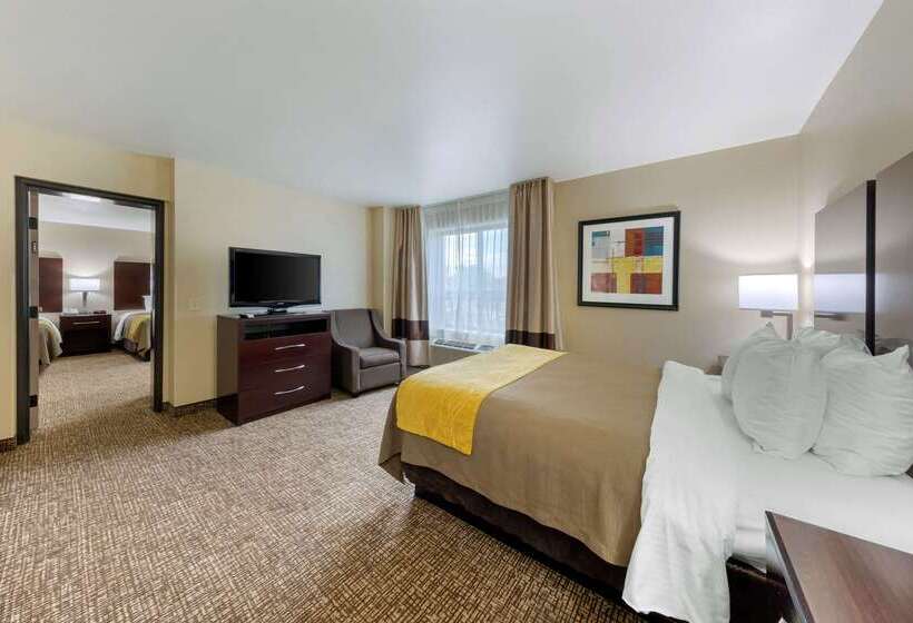 فندق Comfort Inn & Suites