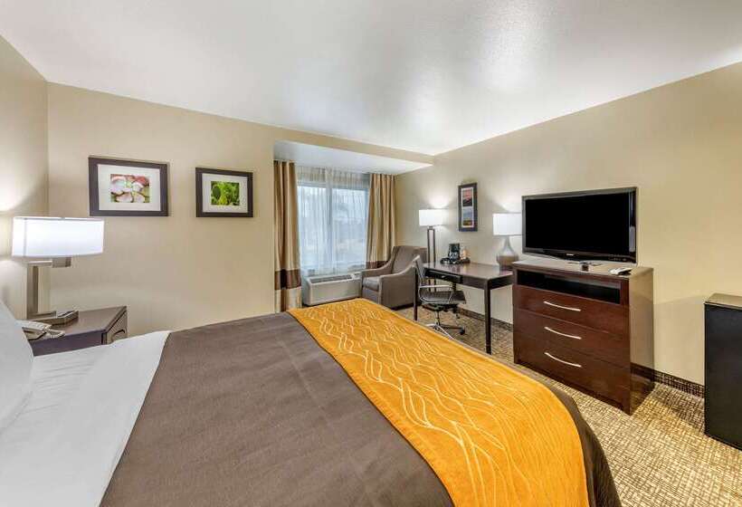 فندق Comfort Inn & Suites