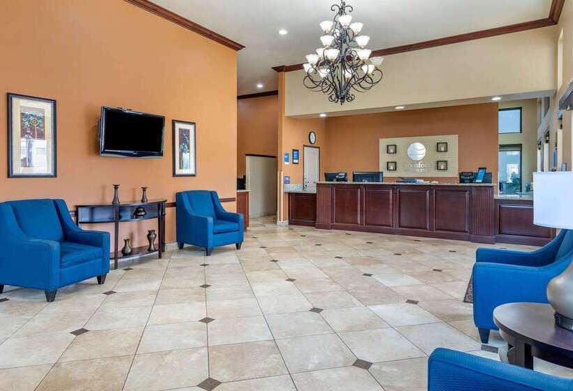 فندق Comfort Inn & Suites