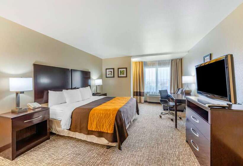 فندق Comfort Inn & Suites