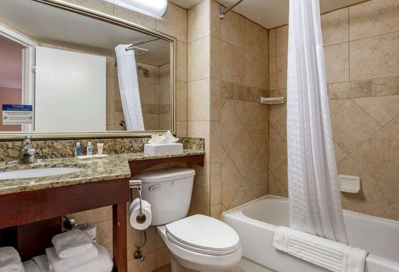 هتل Comfort Inn Birmingham Homewood