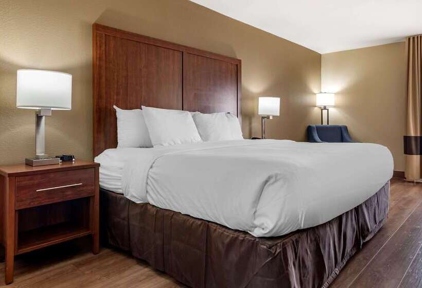هتل Comfort Inn Birmingham Homewood