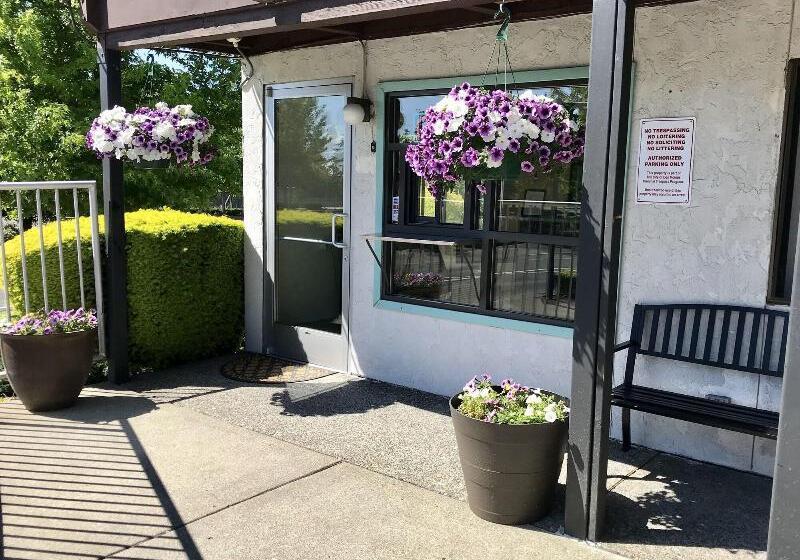 酒店 Seatac Airport Value Inn