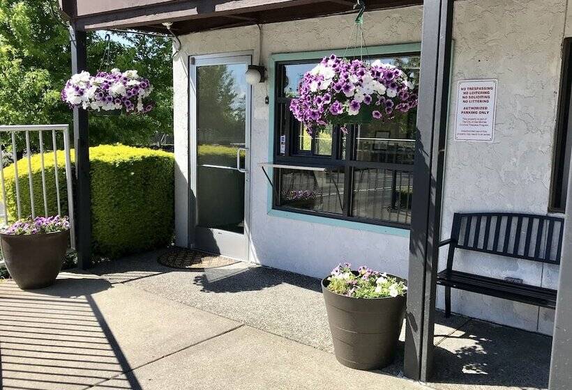 酒店 Seatac Airport Value Inn
